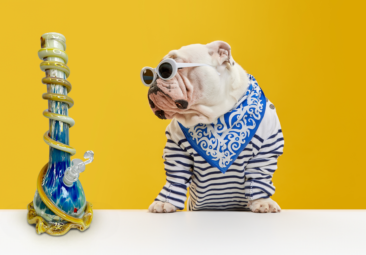 Top Reasons to Buy a Bong with a Lifetime Guarantee in 2025
